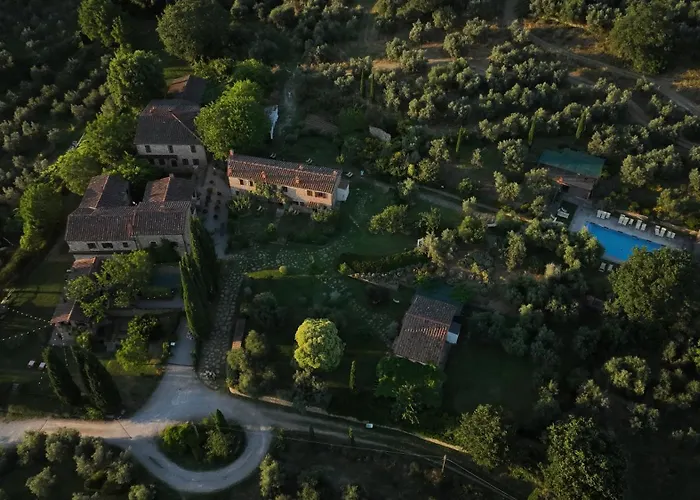 Il Palazzo - Agriturismo, Winery Arezzo